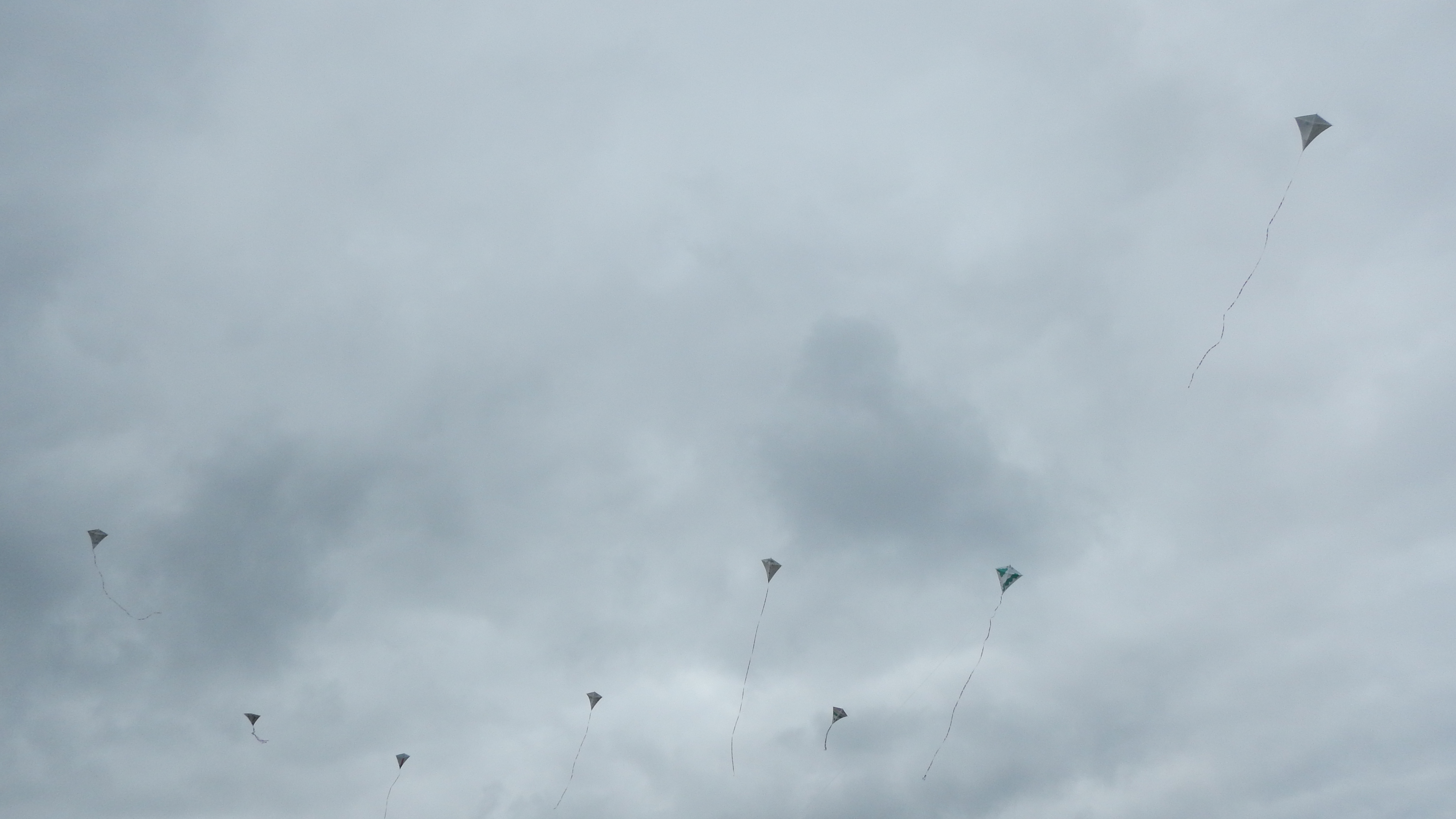 HWK Texel 2015 019.jpg